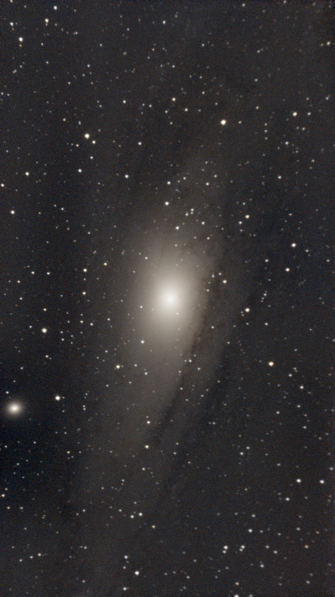 Featured image of post The Seestar S50